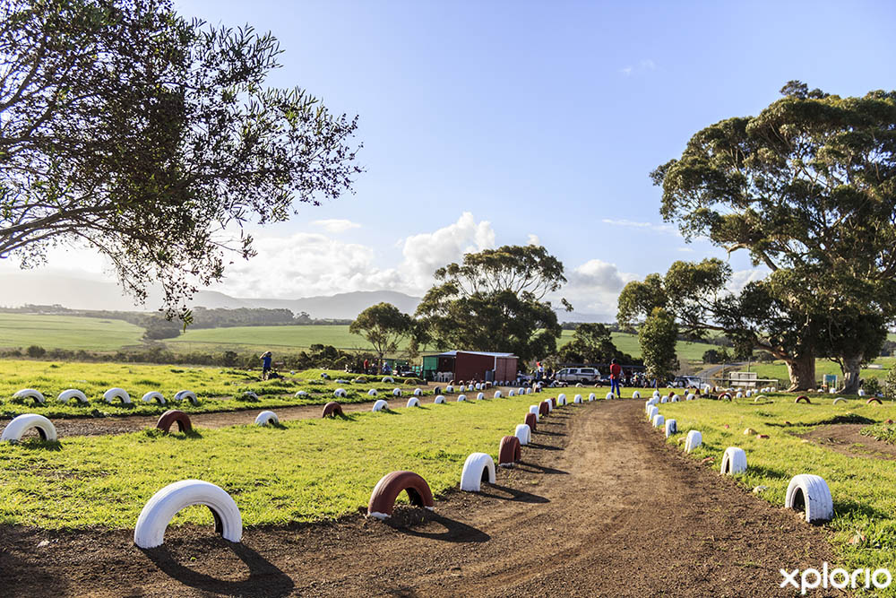 Hermanus Blog Only Open On Saturday The 26th This Week Xplorio™