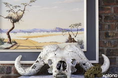 bettys_bay_accommodation_sea_way_self_catering_special_decor_in_living_room_1572335590