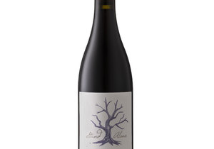 What's happening at Wine and Co. 1 November 2019