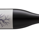 Stand Alone Gamay Noir - Wine & Company - Hermanus