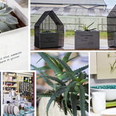 Kleinmond -  Lili & Co - Various Items