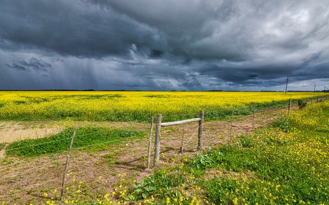 2018_09_18_13.55.22_1_1__1572854194