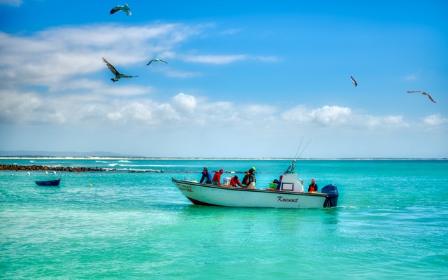 2018_12_14_10.09.13_1_1__1572854195