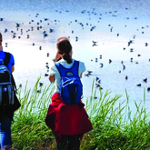 Bredasdorp - Cape Agulhas Tourism Office - Bird Watching