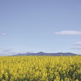 Bredasdorp - Cape Agulhas Tourism Office