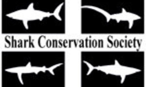 Wilfred Chivell awarded lifetime membership to the Shark Conservation Society!