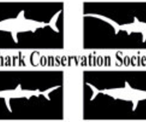 Wilfred Chivell awarded lifetime membership to the Shark Conservation Society!