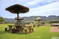 stanford_wine_route_picnic_spots_1573131093