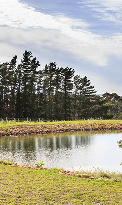 stanford_wine_route_wine_picnic_farms_1573131477