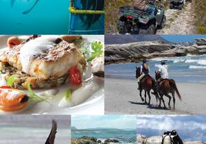 Top Attractions in Gansbaai