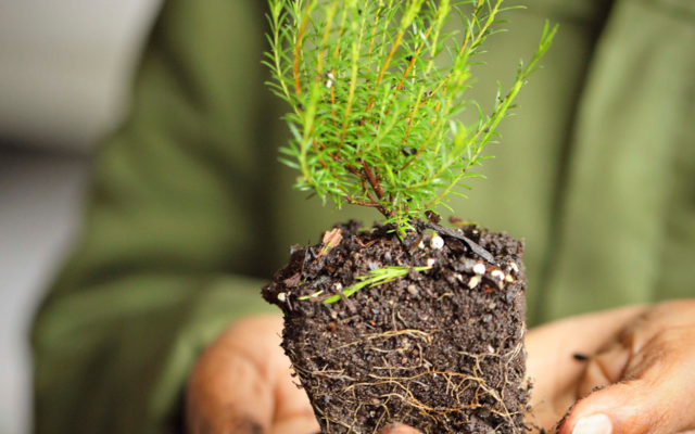 Untitled_design_56_1573477035