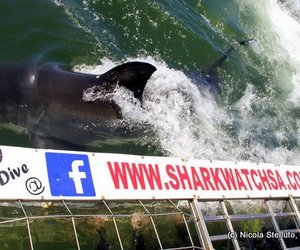 Photo of the day - Close encounter!