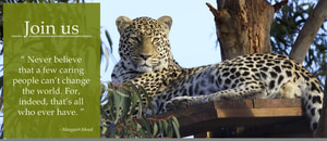 Support Our Big Online Fundraising Auction