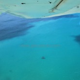 Whale Watching - Percy Tours - Hermanus