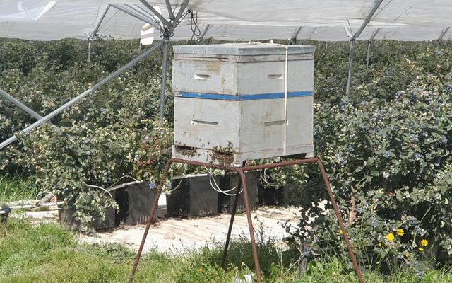 WhatsApp_Image_2019_11_19_at_09.36.17_1__1574156031