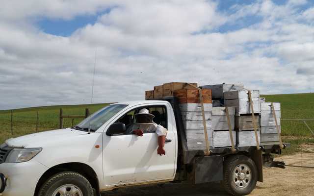 WhatsApp_Image_2019_11_19_at_09.36.18_6__1574156033