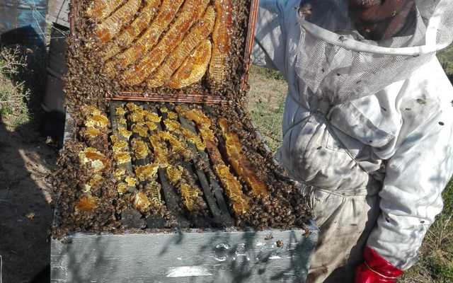 WhatsApp_Image_2019_11_19_at_09.36.19_5__1574156033