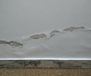 Damp Proofing Experts