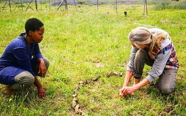 74218616_976507632707338_8272342238864867328_n_1574250041