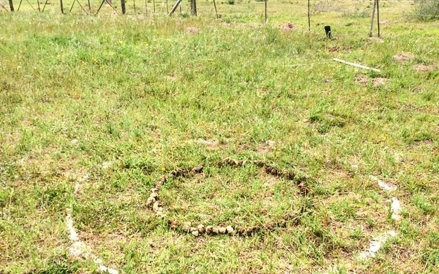 75308003_976507719373996_8375014484342734848_n_1574250043