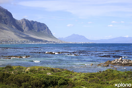 Things to do in Betty’s Bay