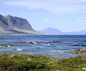 Things to do in Betty’s Bay