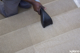 Cleaners of Carpets, Rugs, Upholstery and Blinds