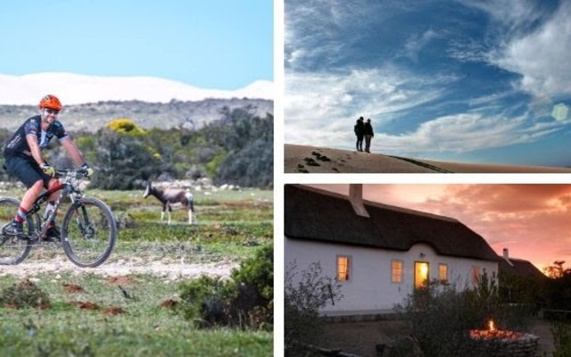 de_hoop_add_image_2_1574775360