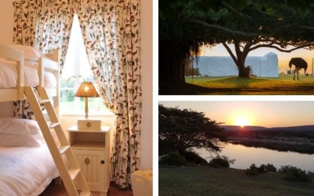 de_hoop_add_image_4_1574775362