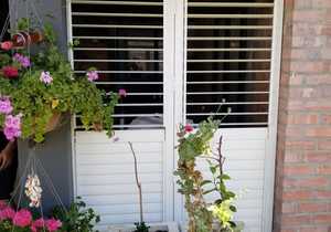 Louvre Security Shutters