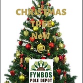 Order Your Christmas Tree - Fynbos Pole Depot Hermanus