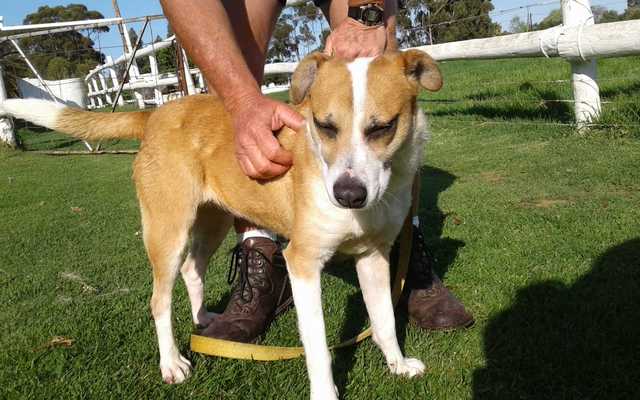 IMG_20190924_WA0062_1575020359