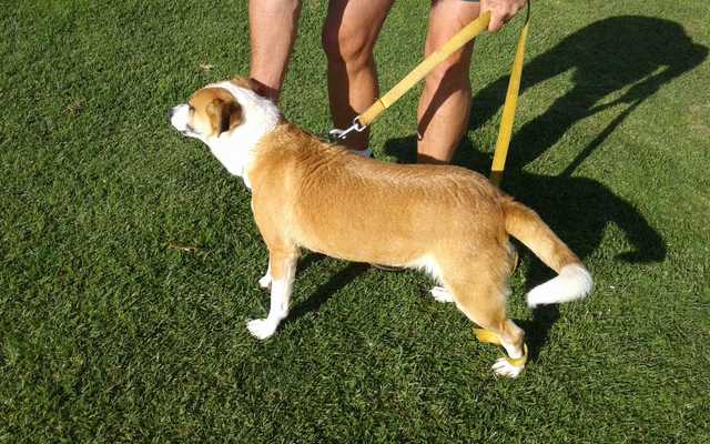 IMG_20190924_WA0064_1575020360