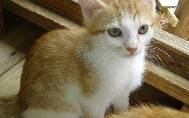 IMG_20191119_WA0014_2_1575020876