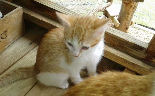 IMG_20191119_WA0015_1575020877