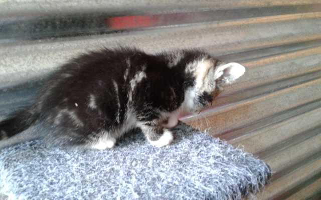 IMG_20191120_WA0007_1575020875