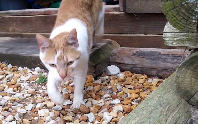 IMG_20190317_103449_1575021244