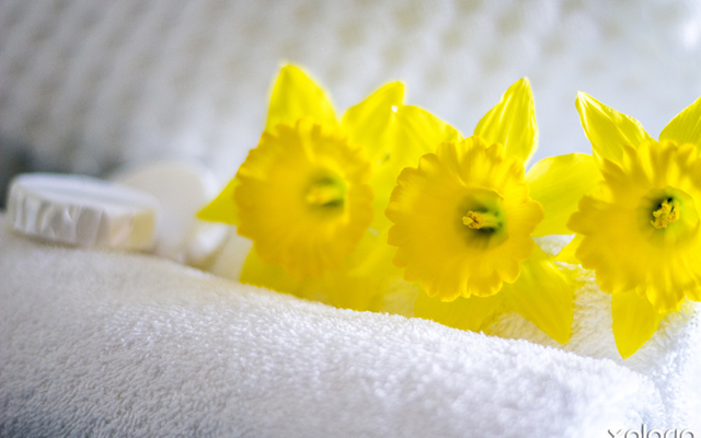 hermanus_laundry_services_washing_ways_laundry_house_freshly_washed_1566369051_1575032247