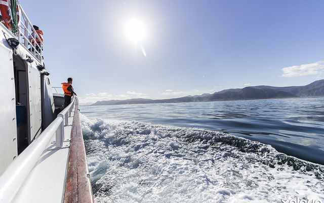 hermanus_things_to_do_whale_watching_hermanus_whale_cruises_boat_cruise_in_style_1567406290_1575444222