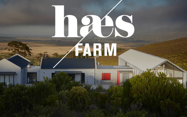 logo_header1_1575611909