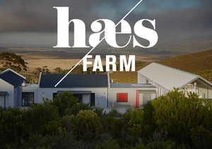 Pre-Festive Long Table Lunch Event - 16 December 2019