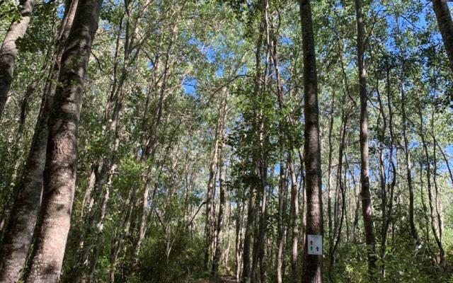 WhatsApp_Image_2019_12_05_at_10.11.50_2_1575616999