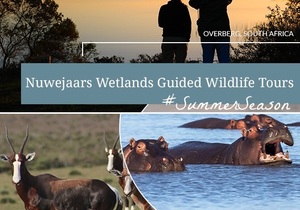 Nuwejaars Wetlands Safari - Guided Tours