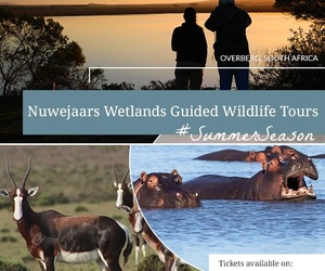 Nuwejaars Wetlands Safari - Guided Tours