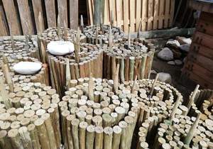 Produkte Beskikbaar by Fynbos Pole Depot Hermanus