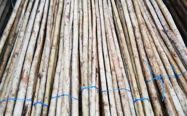 WhatsApp_Image_2019_12_10_at_08.14.36_1_1575969915