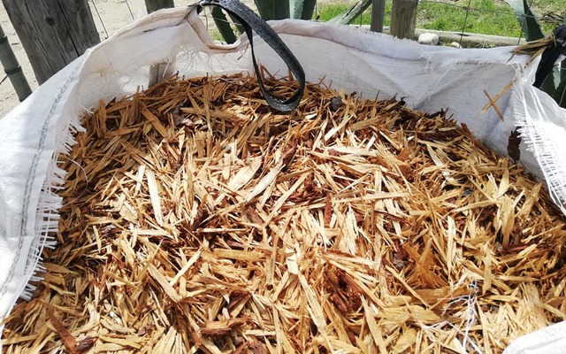 78583558_1515848305246954_6738211948304793600_n_1575970108