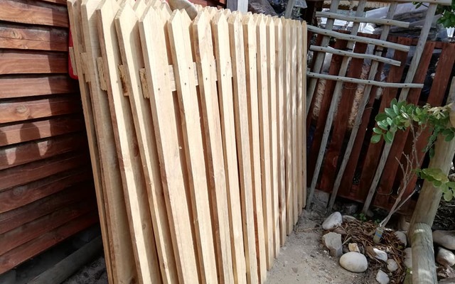 78615098_1515848528580265_7278637791850790912_n_1575970109