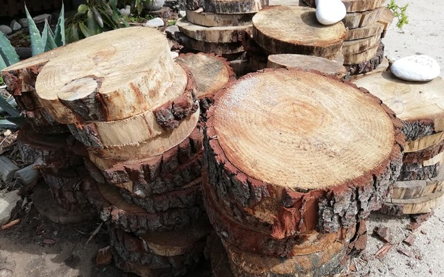 78754167_1515848581913593_3526168459253645312_n_1575970109