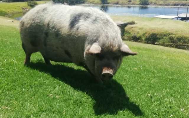 WhatsApp_Image_2019_12_13_at_12.00.30_1576564709